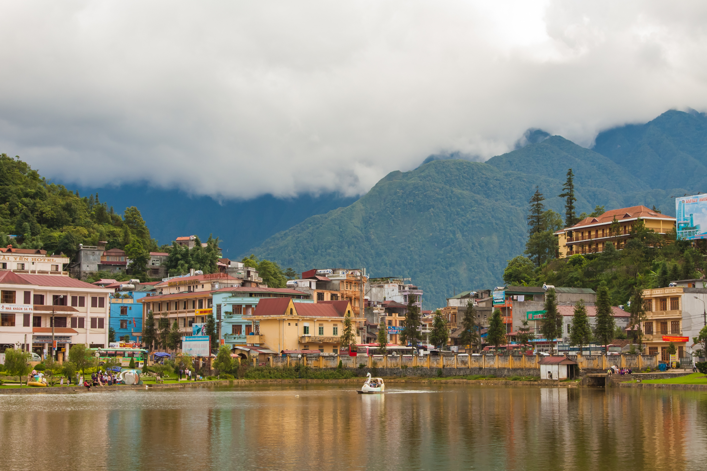 cai lan (3).webp